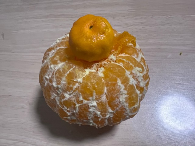 なんと！中からちいさなみかんが出てきました！（画像提供：りんご殿下さん）