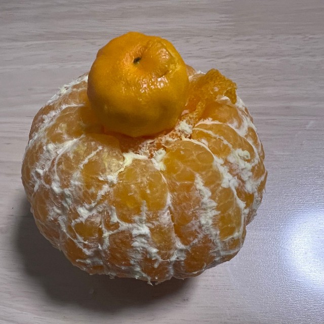 なんと！中からちいさなみかんが出てきました！（画像提供：りんご殿下さん）