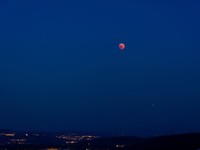 「帰り道覚えてる？」何度も通った道。覚えてるに決まってるじゃん