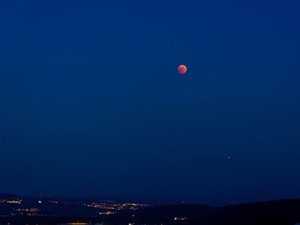 生い立ちに悩んだけどママが愛した人の子ならそれで十分