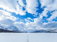 私はこの先もずっと自分の名字の器にたくさんの思い出を詰め込みたい