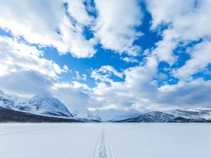私はこの先もずっと自分の名字の器にたくさんの思い出を詰め込みたい