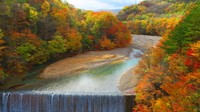 岩手県 八幡平市（提供：八幡平市 商工観光課）