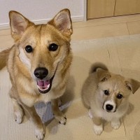 初めて並んで撮影できたよ=suzuandsakuさん提供