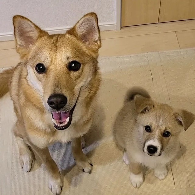 初めて並んで撮影できたよ=suzuandsakuさん提供