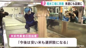 備蓄米が宮城県の精米工場に届く　早ければ来週にも店頭へ