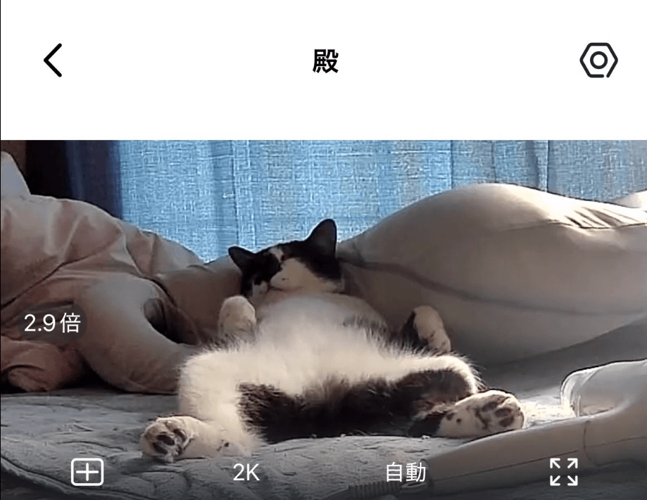 仕事中に発見した奇跡の瞬間。貫禄ありすぎ！／画像提供：どこさん