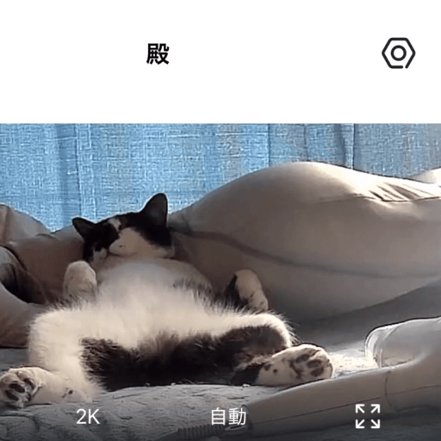 仕事中に発見した奇跡の瞬間。貫禄ありすぎ！／画像提供：どこさん