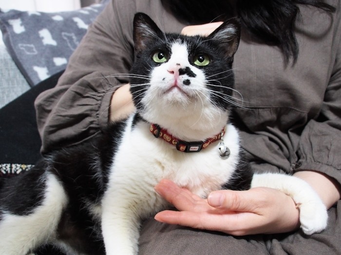 おやつ、の声に目が輝く