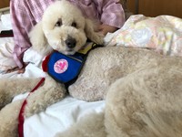 患者さんのつらさにそっと寄りそう「心のケア」を受け持つモリス。患者さんとベッドでまったり（提供写真）