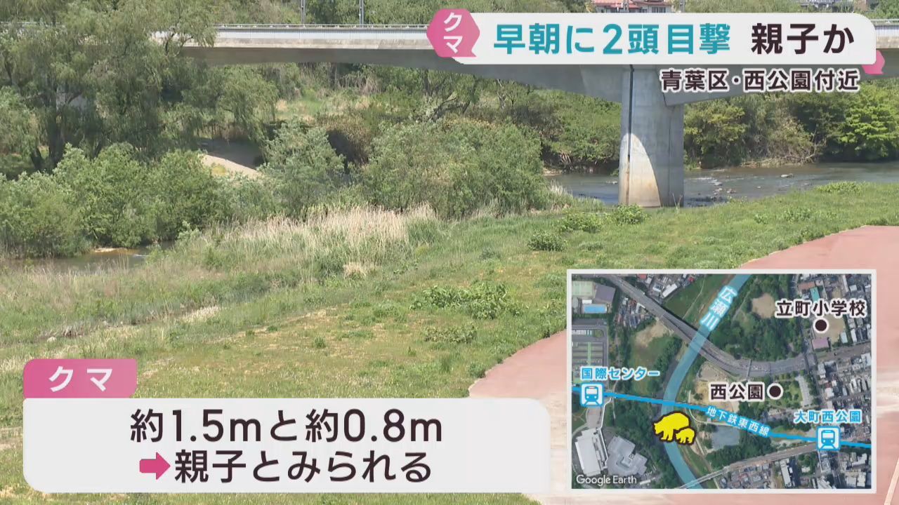 仙台・西公園近くの河川敷でクマ２頭の目撃情報　親子とみられる