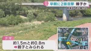 仙台・西公園近くの河川敷でクマ２頭の目撃情報　親子とみられる
