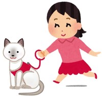 猫を外に連れ出すイベントに批判の声が殺到。「猫は液体」。例えハーネスをつけていても容易に抜け出せてしまう