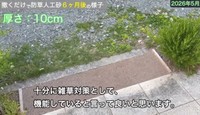 【10cm】十分に雑草対策として、機能していると言って良いと思います／しかちゃんねる【庭づくりDIY】さん（@しかちゃんねる-b4d）提供