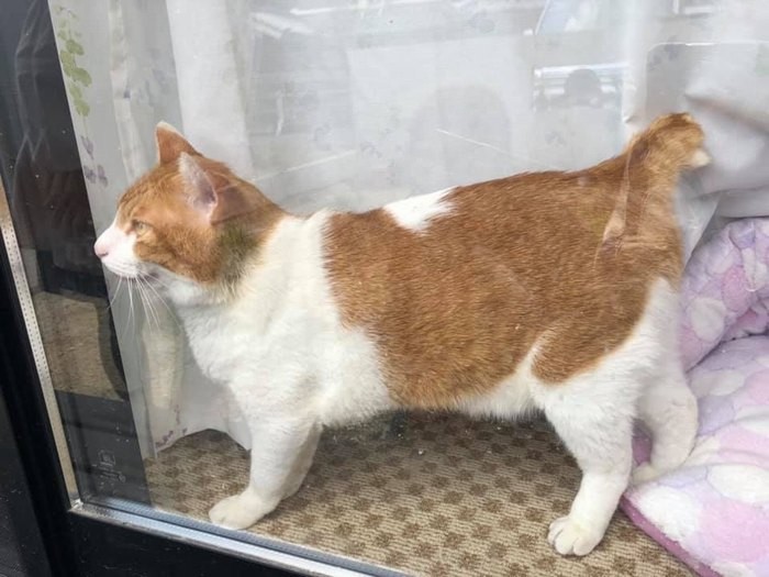 お外にいる時のことに思いをはせているのか