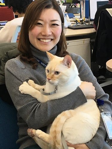 オフイスに来た猫のショーン　（提供写真）