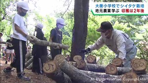地元の農業を学ぶ　小学生がシイタケ栽培に取り組む　宮城・大衡村