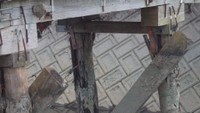 提供：岡山市