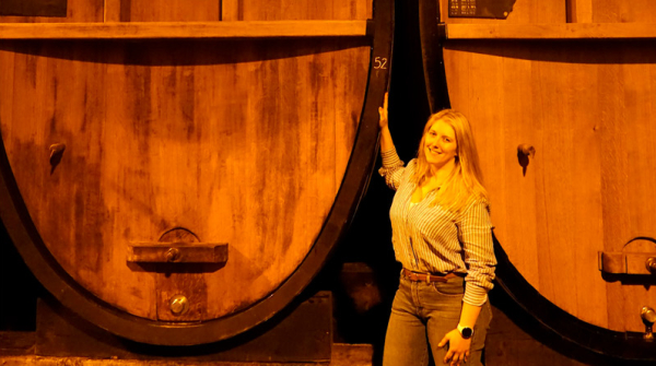 “ネクスト・ブルゴーニュ”仏アルザスワインの実力