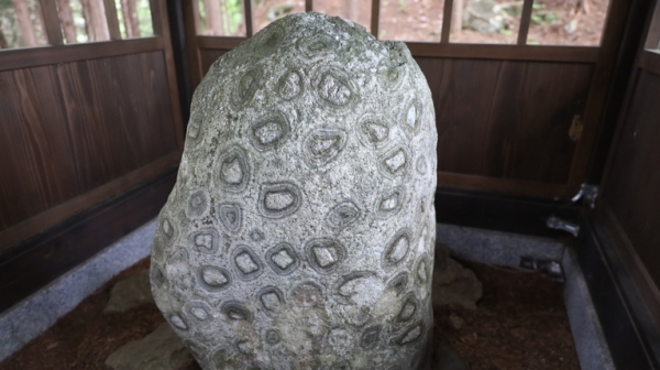 飛驒・古川城 3氏の地域支配を物語る山城の姿