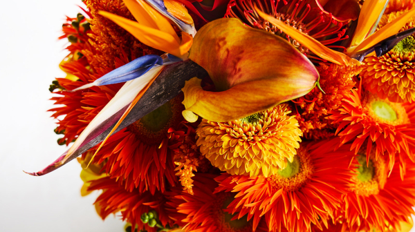 余命宣告で泣いた夜……思わぬところで再び夢が