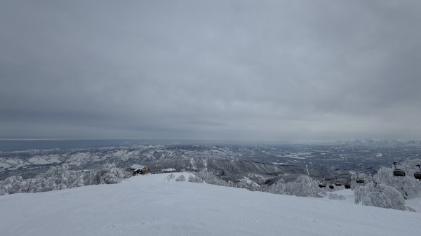 野沢温泉で大人のスキー合宿へ　23年ぶりの滑りは？