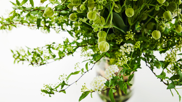 夫が専属だった会社が倒産…少しほっとした理由は