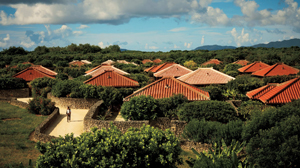 俳優・岸谷五朗が綴る物語。ウツグミの島へ［前編］