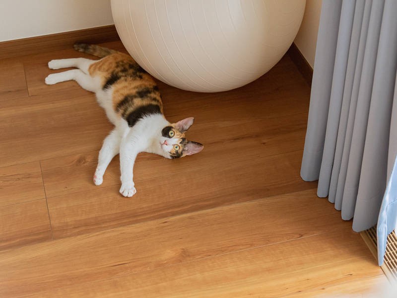 そして、疲れたよ