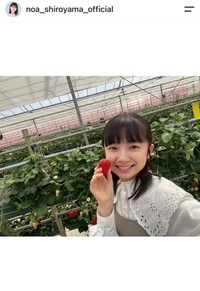 白山乃愛（@noa_shiroyama_official）さんのインスタグラムより