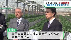 農産品の輸出支援に注力　村井宮城県知事が山元町のイチゴ農家を視察