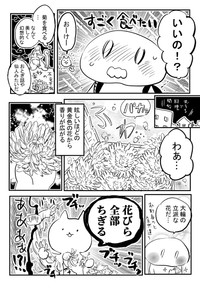 【漫画】『菊の花を食べる』2（赤夏さん提供）