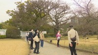 咲き始めた桜を楽しむ人々