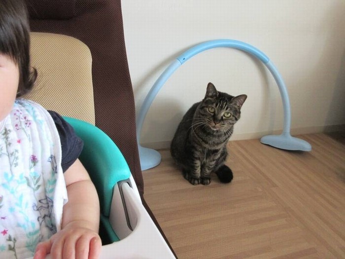 赤ちゃんを優しく見守るモモ