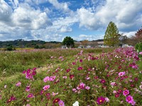 岡山県提供