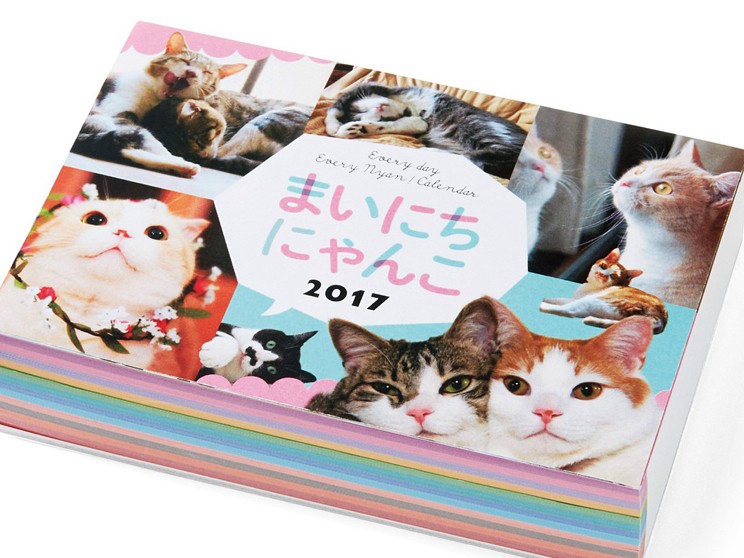 ３６５日いろんな猫に出会える　日めくりカレンダー