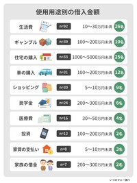 【使用用途別】借りた金額（提供画像）