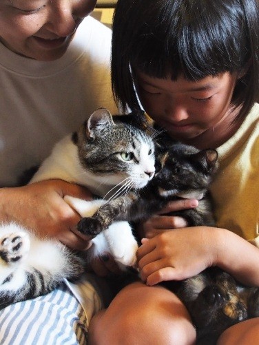 9番目に保護したキュー太と、10匹目のポチ（去年夏）。新入りの面倒は、その前の新入りが担当