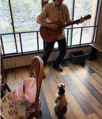 ライブ時の様子