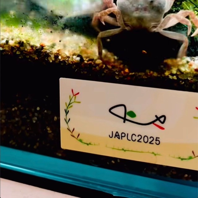 エサを抱えたまま体勢を変えるカニ。魚がつつく様子も見られる／toyさん（@_______toy______）提供