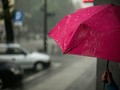 八面六臂の活躍で私のテンションを下げてくる梅雨の、いいところ