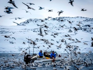 揺れるグリーンランド住民の本音は　デンマークに複雑な感情、忍び寄るトランプ氏の影