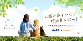 青空と緑の葉を背景に、芝生に座る人物と2匹の犬、1匹の猫を後ろから写したビジュアル。「犬猫の命をつなぐ 特派員レポート ―保護団体応援プロジェクト―」「MARS × sippo」「知ることが、支える力になる。」の文字が配置されている。