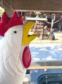 栃木県にある「鷲宮神社」の古くからの習わしでは、鶏肉や卵を食べてはいけないそう。理由とは…！？