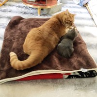 ちょっとだけ一緒にいられるようになった