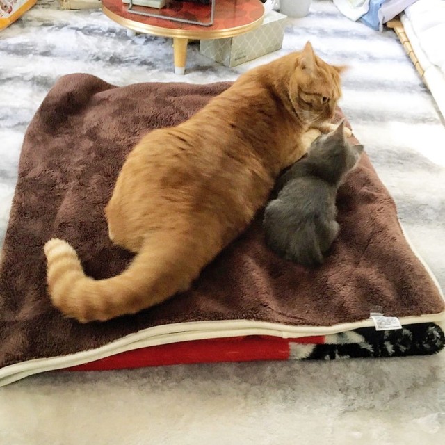 ちょっとだけ一緒にいられるようになった