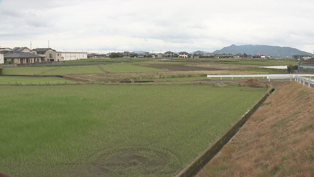 建設予定地　観音寺市豊浜町