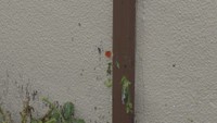 事故があった現場　玉野市玉