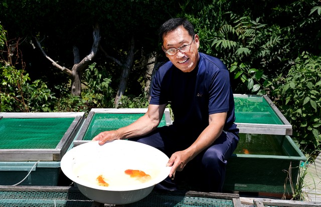 50歳で金魚と生きる道を選んだ元教員　育てた品種はふるさと納税返礼品にも