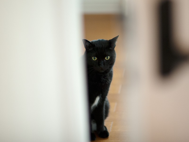 「お菓子、床に落ちたよ」（小林写函撮影）